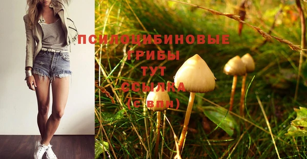 эйфоретик Алексин