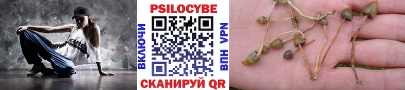 Псилоцибиновые грибы Psilocybine cubensis  Купить закладки  Владивосток 