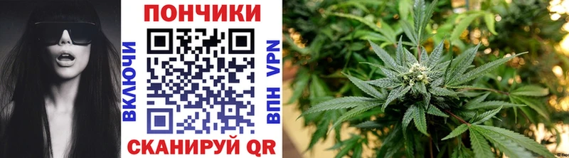 Купить где  Владивосток  Канабис MAZAR 
